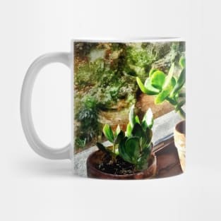 Jade Plants in Greenhouse Mug